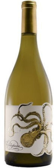 Picture of Octopoda, Chardonnay - Russian River Valley